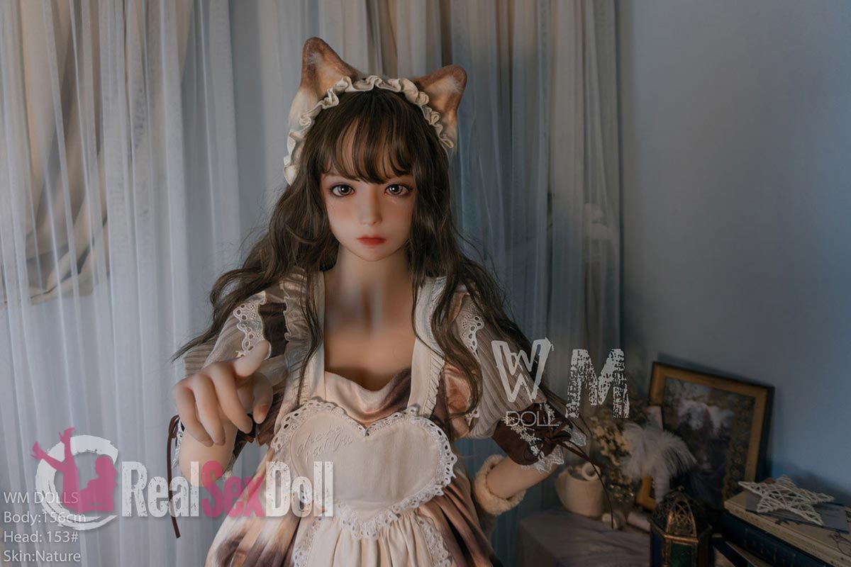 Cat — photo 3
