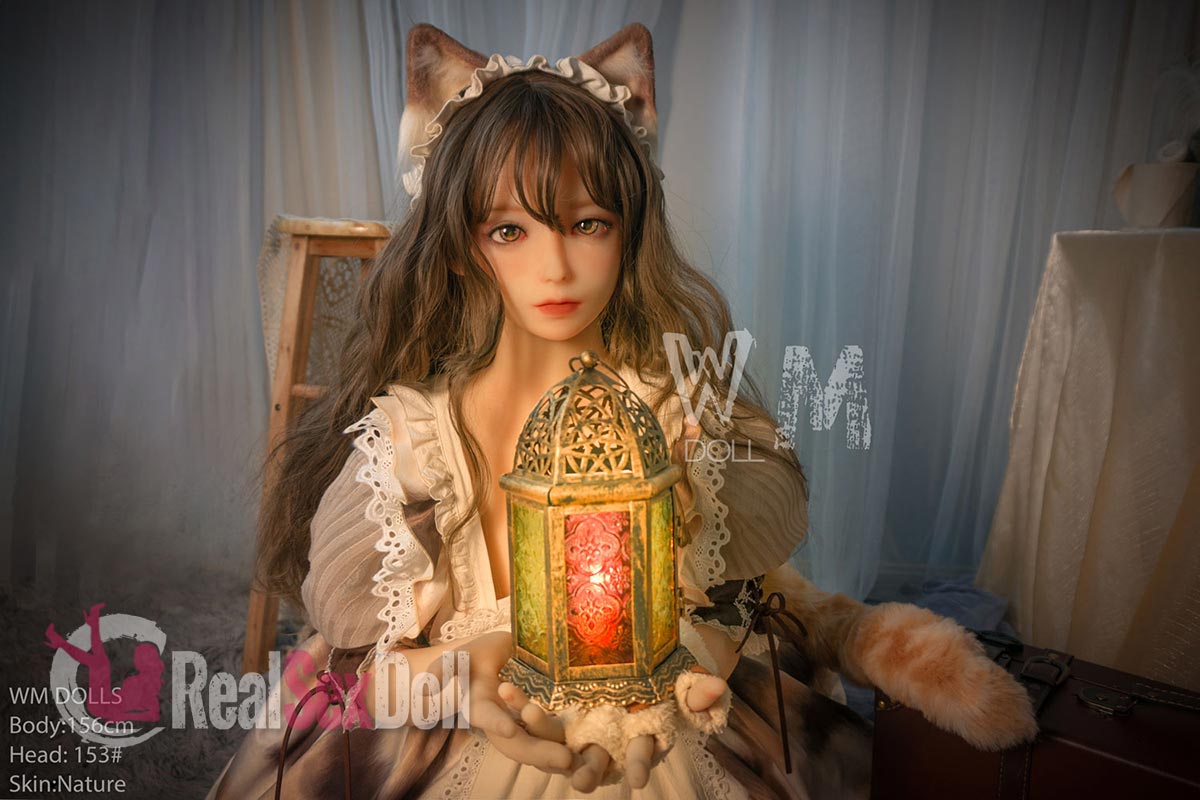 Cat — photo 4