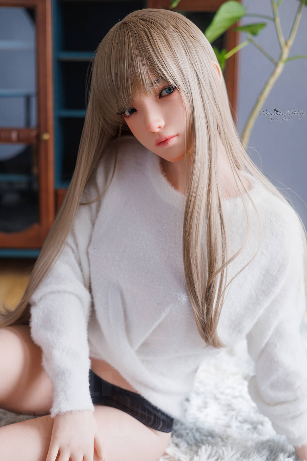 Sora — photo 2
