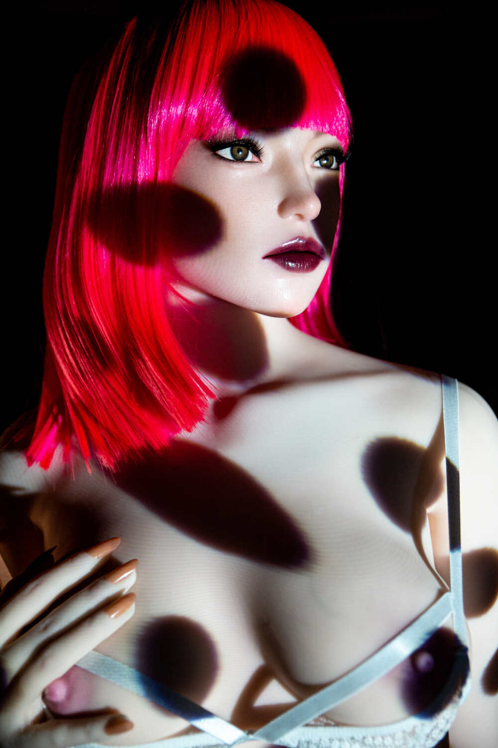 Polly — photo 2
