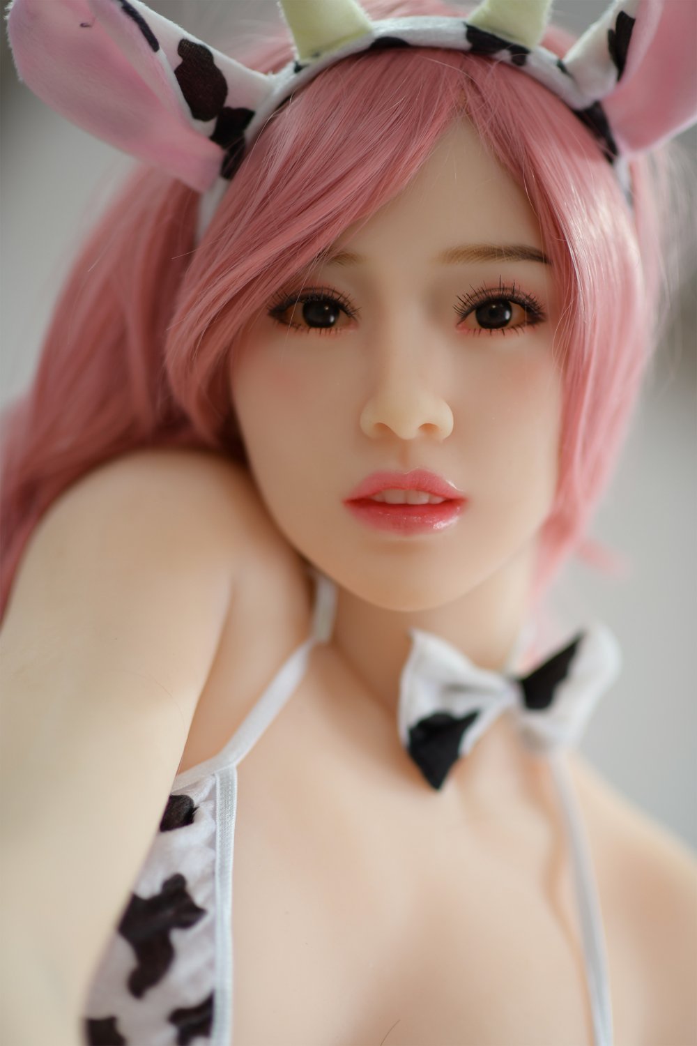 Nova — photo 3