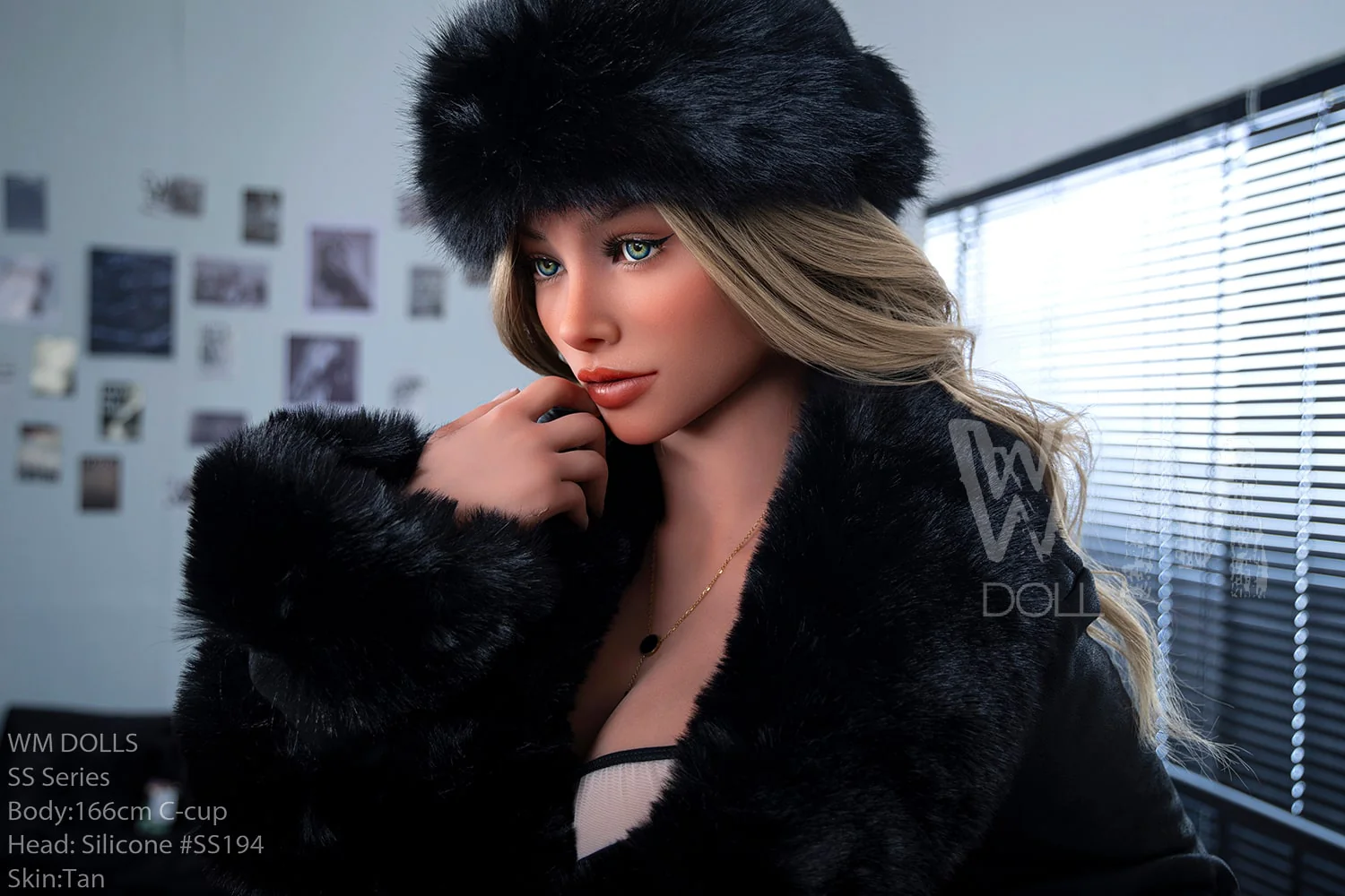 Lysander — photo 4