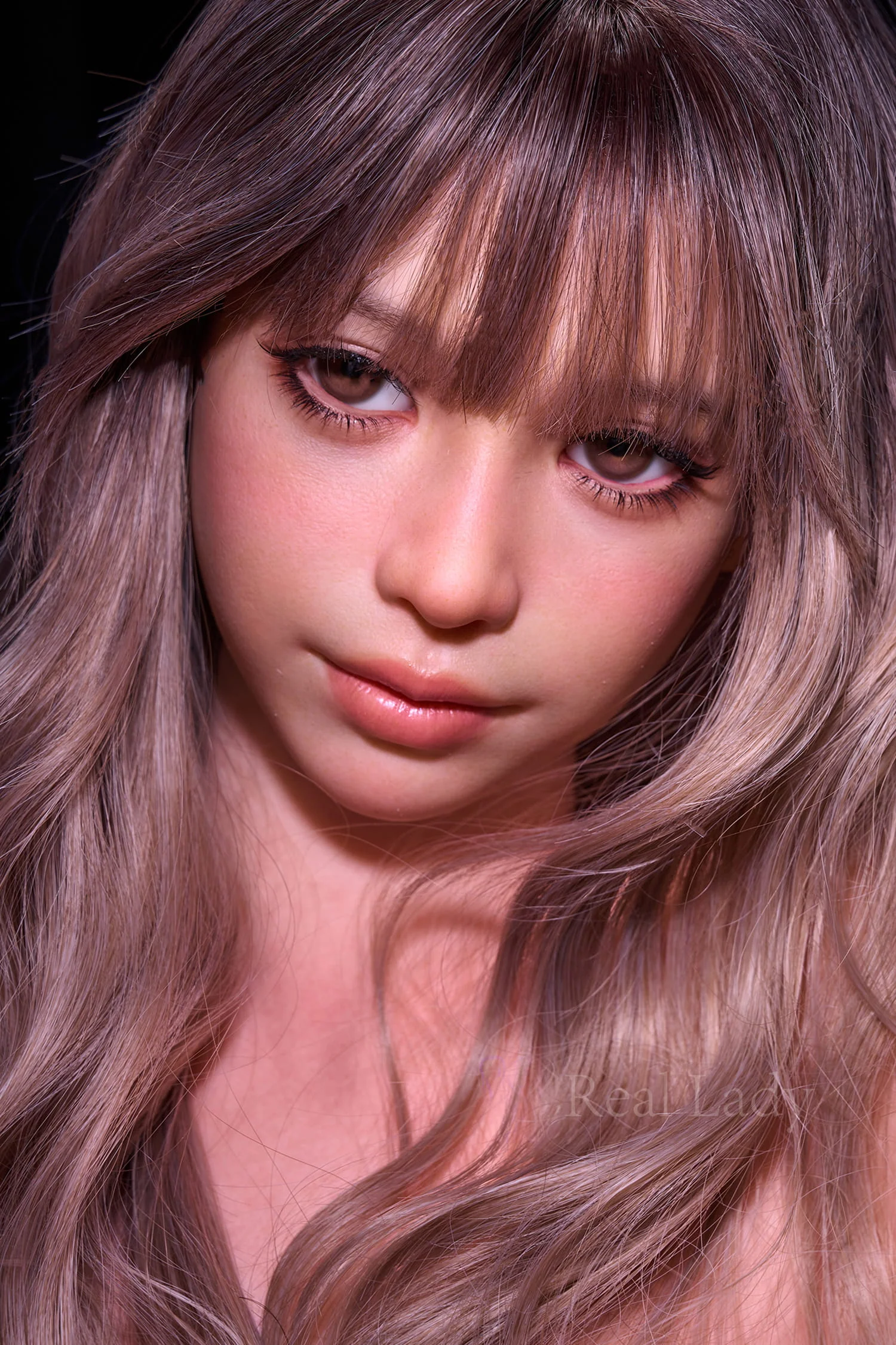 S40 Zinnia — photo 6